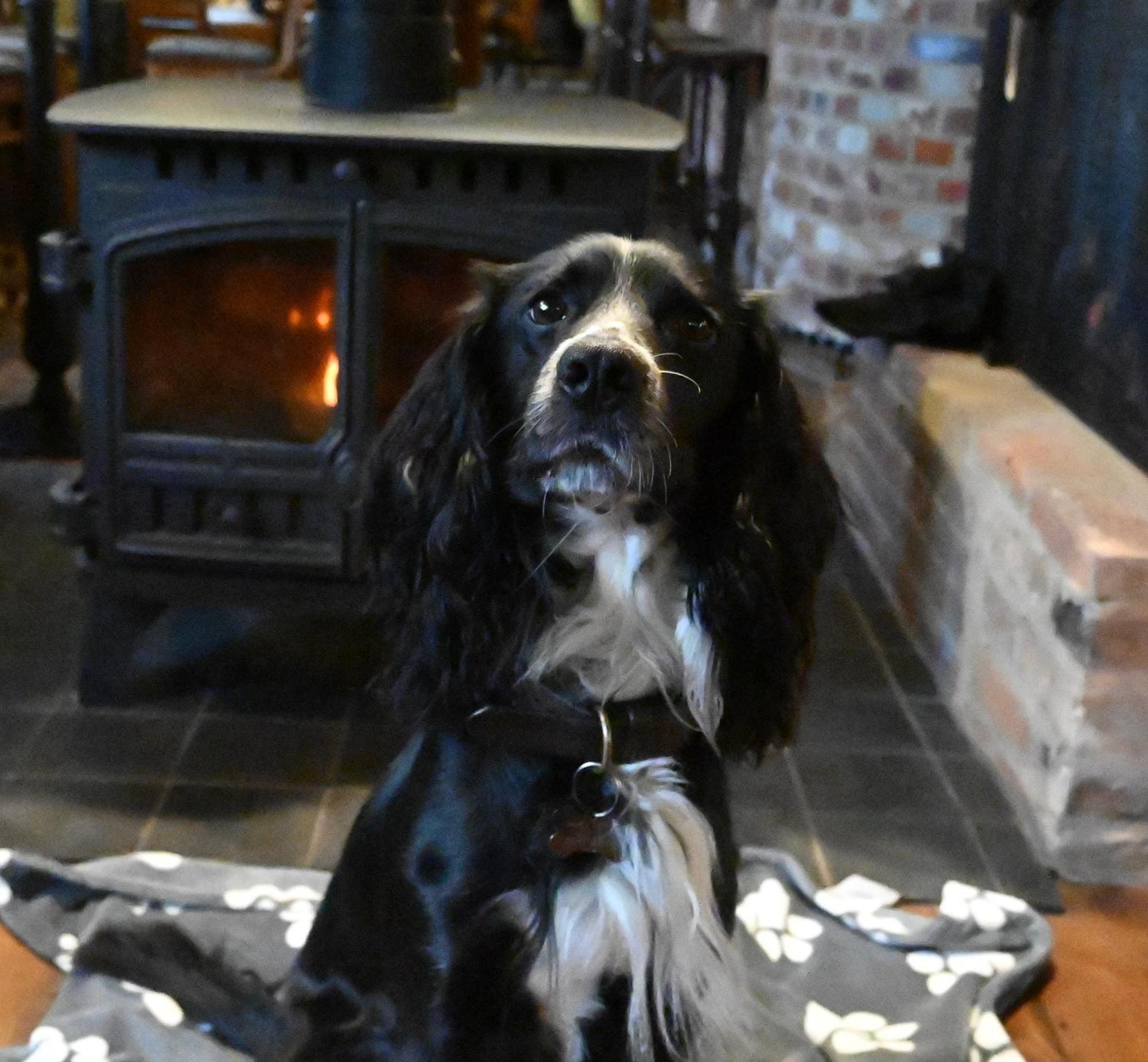 The Duke On The Test Romsey Esterno foto